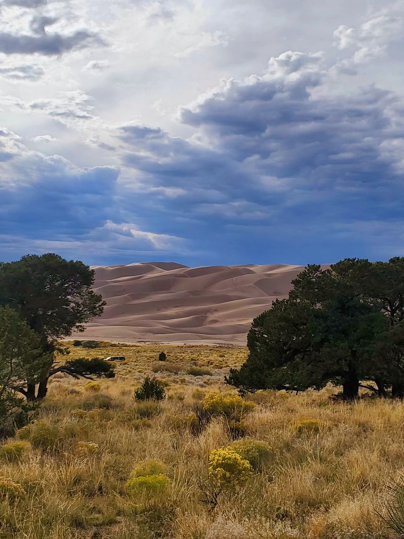 Ranger Programs That Actually Hold Your Attention