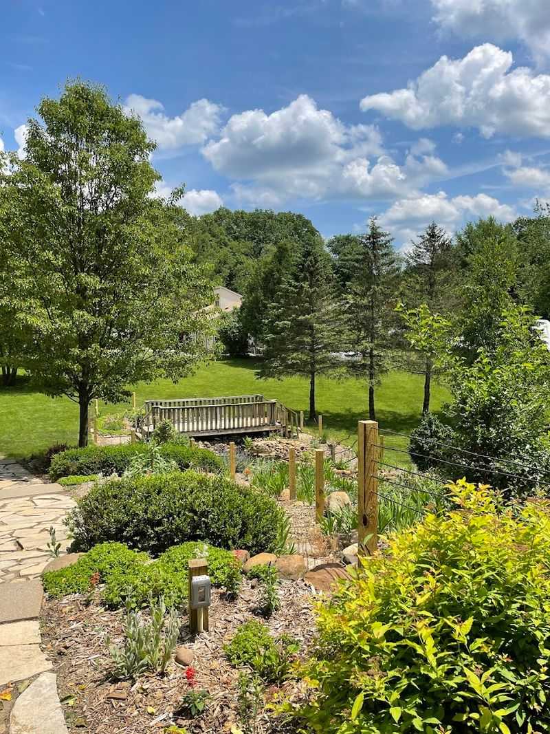 Seasonal Stream And Water Play