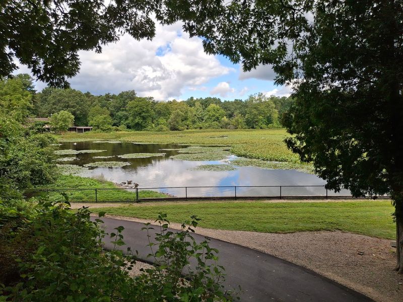 Lake Loop Rhythm And Pacing