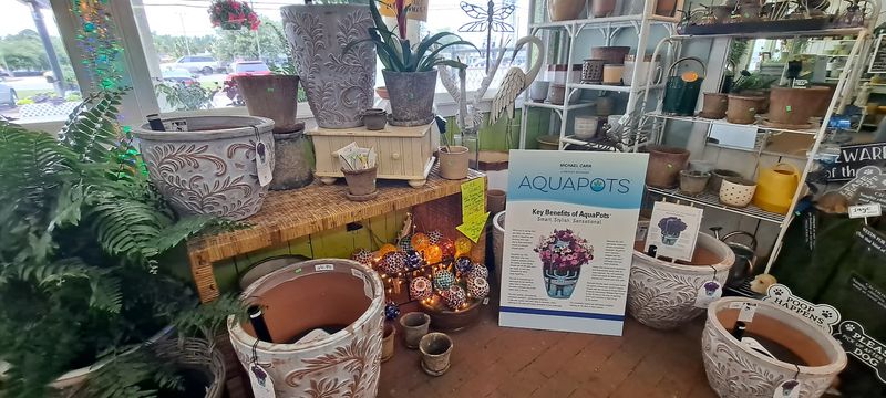 The Gift Shop That Sneaks Up On You In The Best Possible Way