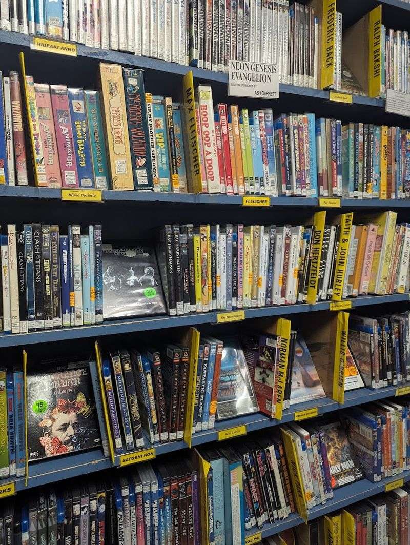 Rare And Out-Of-Print Films 