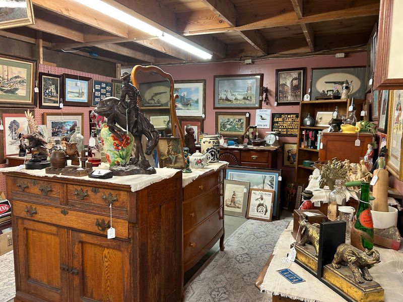 Rare And Unexpected Finds Rare And Unexpected Finds
