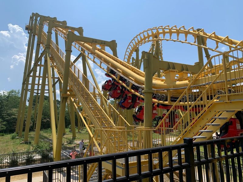 Suspended Looping Steel Ride Cutting Through Tree Canopy