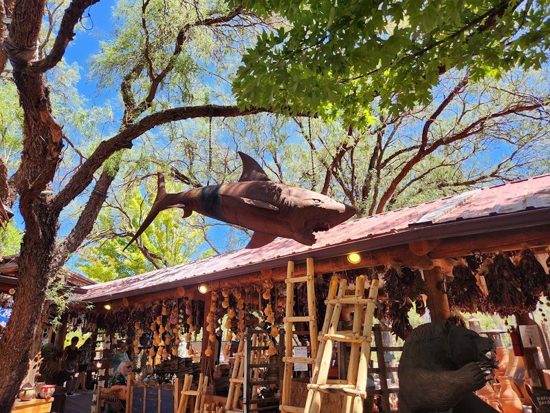 Contemporary Native American Art Gallery