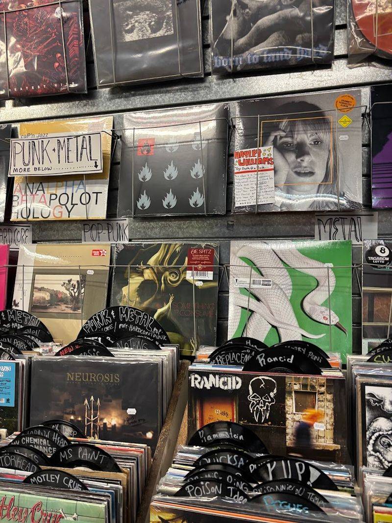 Rare Finds, Collectibles, And The Thrill Of The Unexpected Rare Finds, Collectibles, And The Thrill Of The Unexpected
