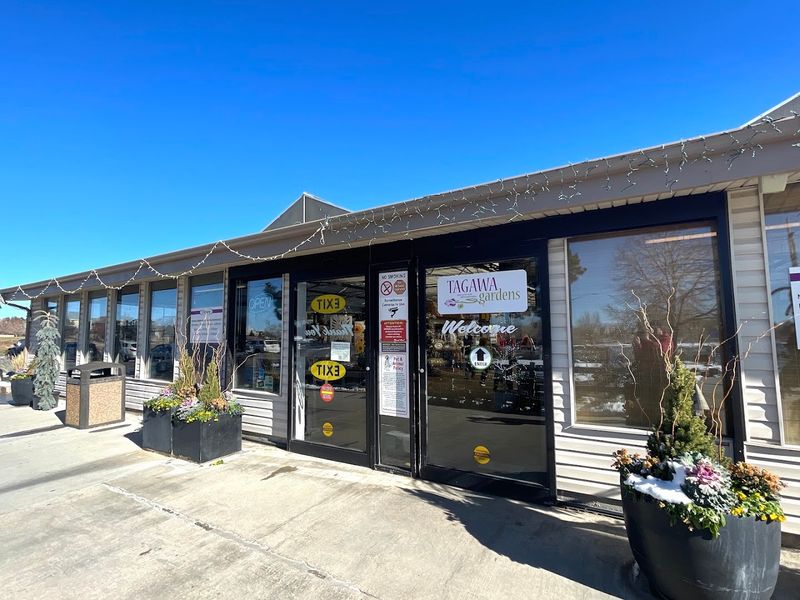 Rare Plant Vendor Events That Keep Collectors Coming Back Weekly