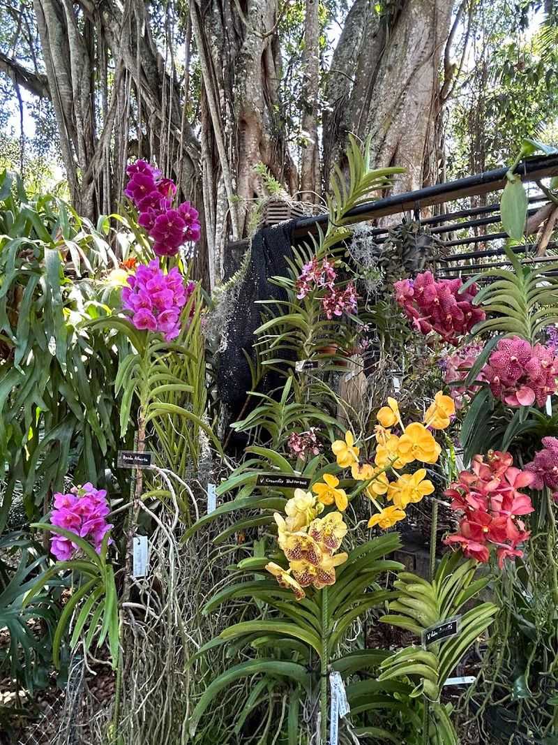 Rare Plants and Botanical Wonders Around Every Corner Rare Plants and Botanical Wonders Around Every Corner