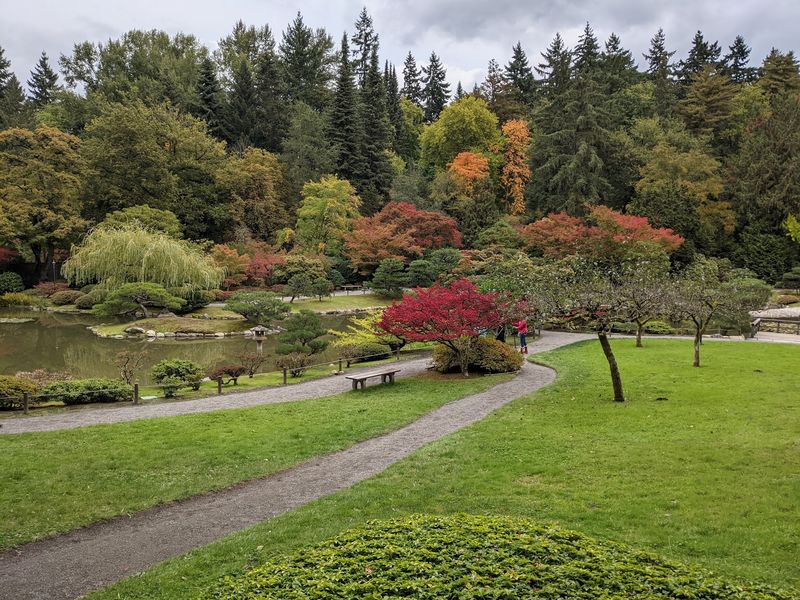 Rare Trees and Plants Gathered From Around the World