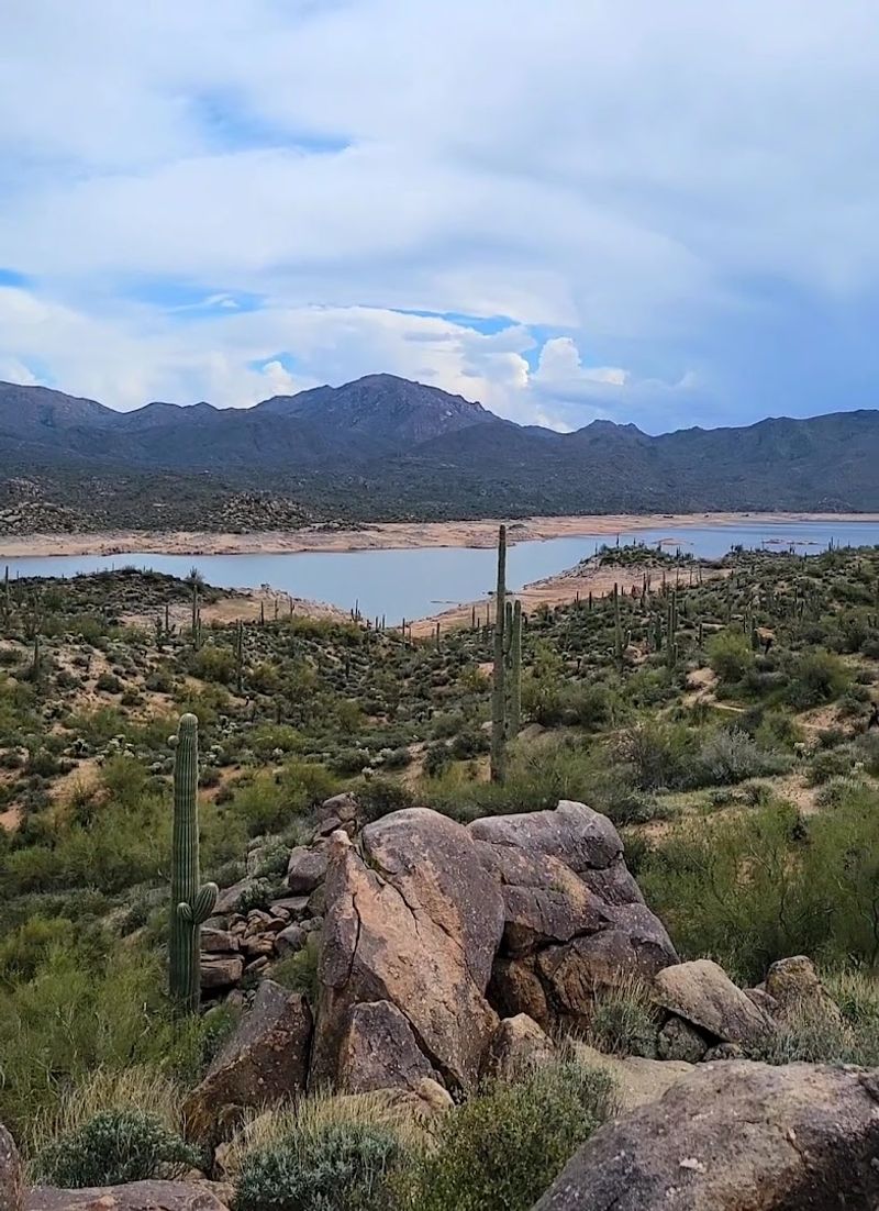 Rattlesnake Cove Picnic Site, Bartlett Lake