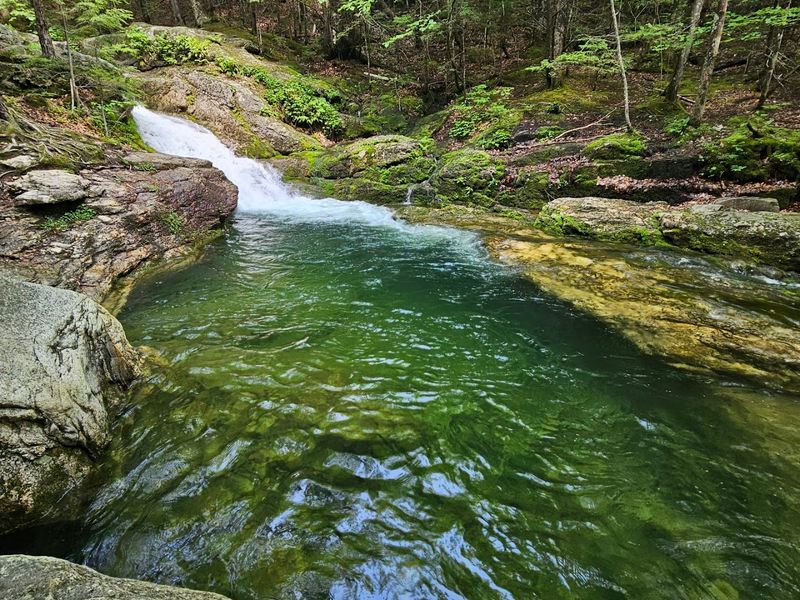 Rattlesnake Pool, Albany Township