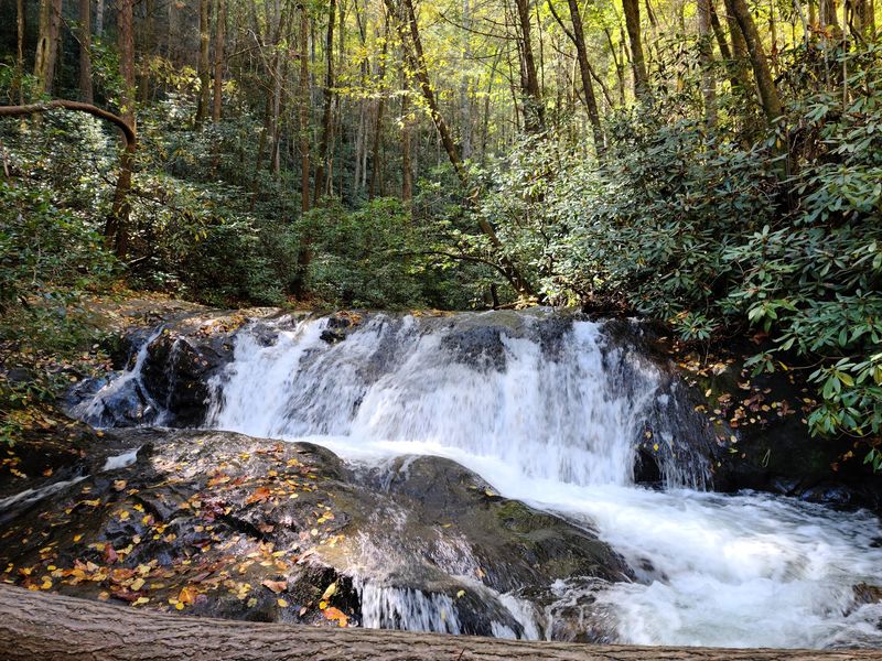 Raven Cliff Falls Trail