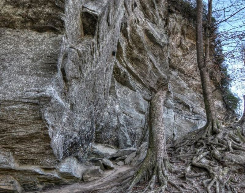 Raven Rock State Park 