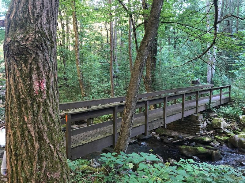 Ravensburg State Park Campground, Jersey Shore, Pennsylvania