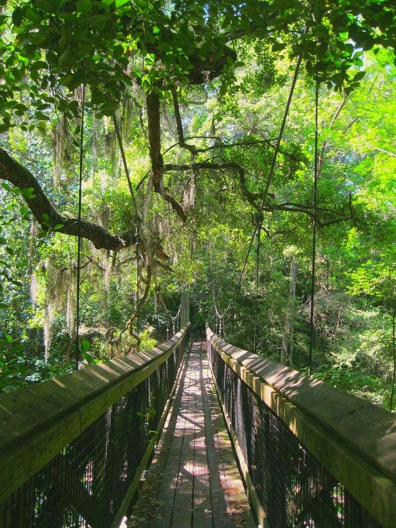 Ravine Gardens State Park, Palatka