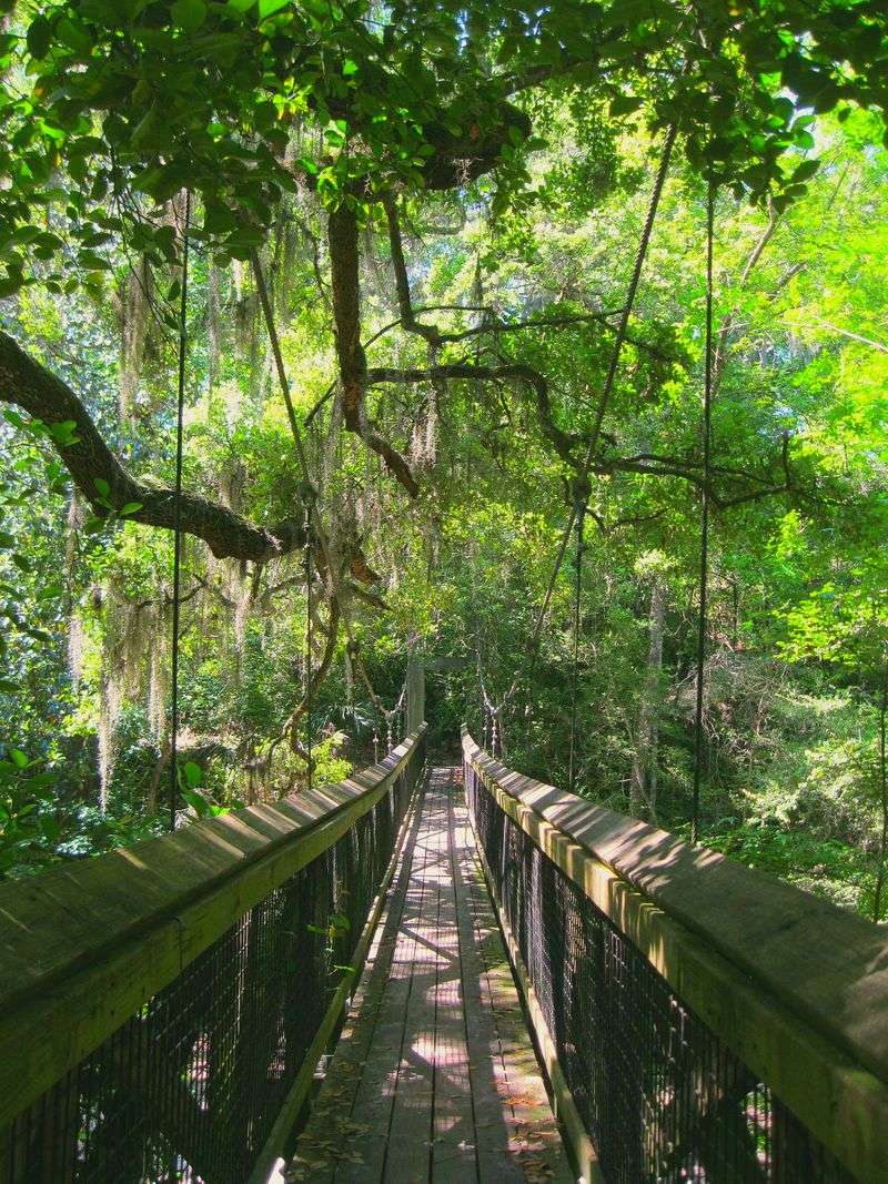 Ravine Gardens State Park, Palatka
