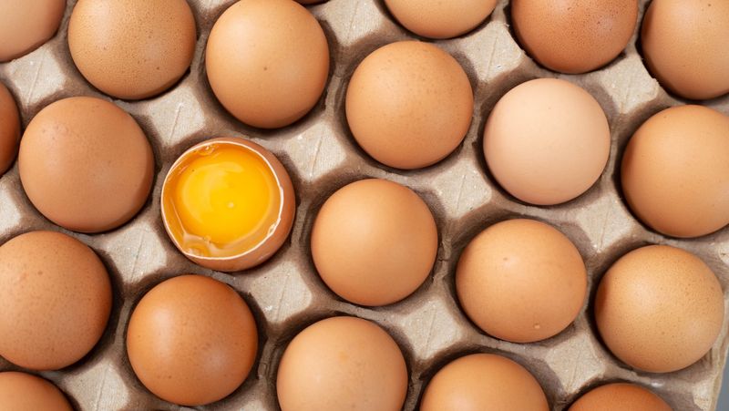 Fertile Eggs Have Superior Nutrition