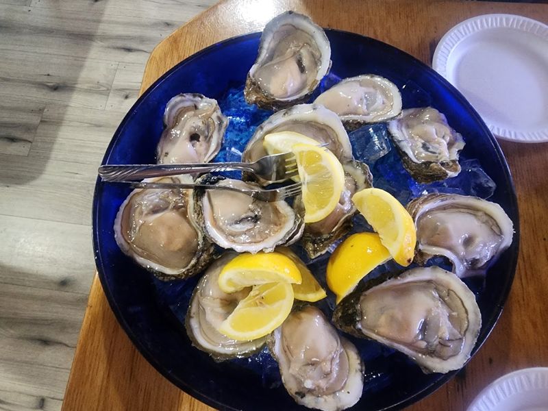 Raw Oysters So Fresh They Redefine The Standard