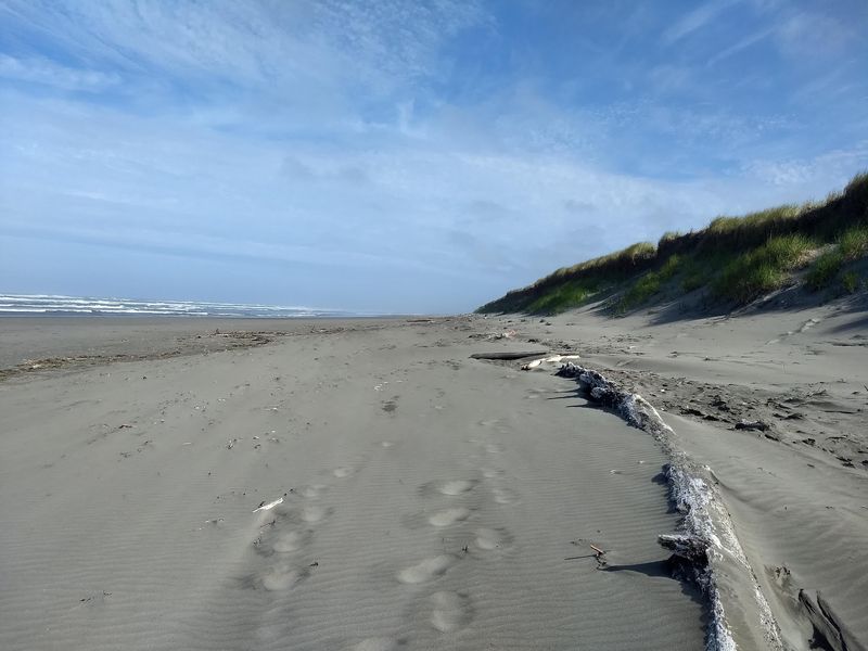 Razor Clamming, The Main Event