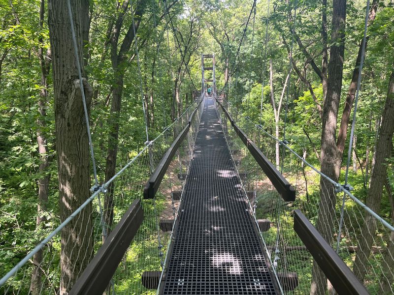 Reach for the Sky Canopy Walk