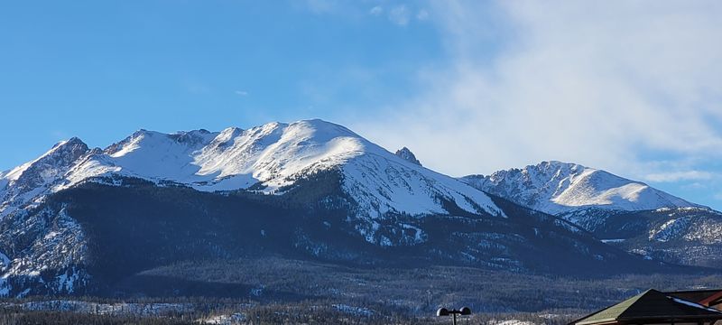 Wildlife Encounters That Feel Almost Scripted