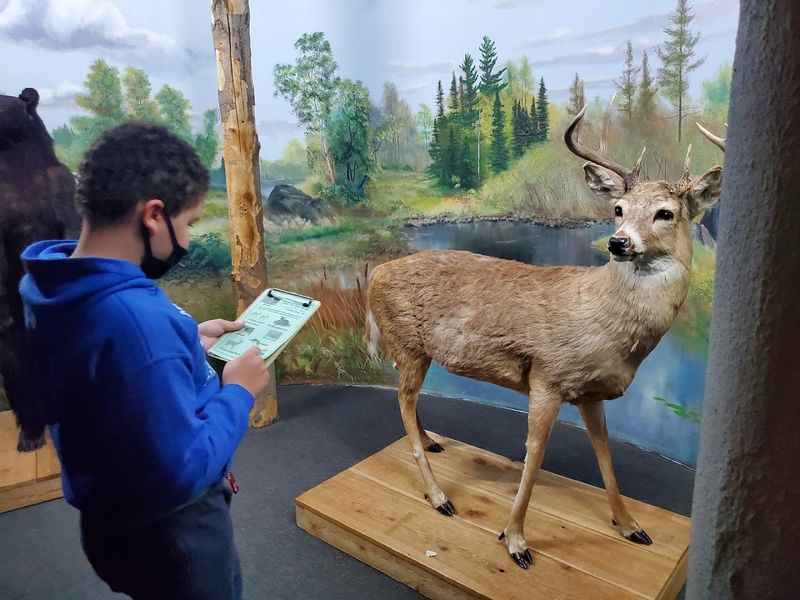 Read The History Panels Instead Of Just The Animal Labels