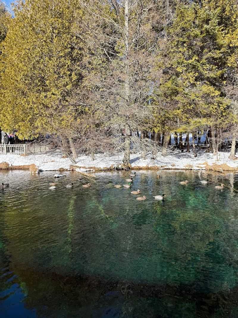 Dress For Constant 45 Degrees