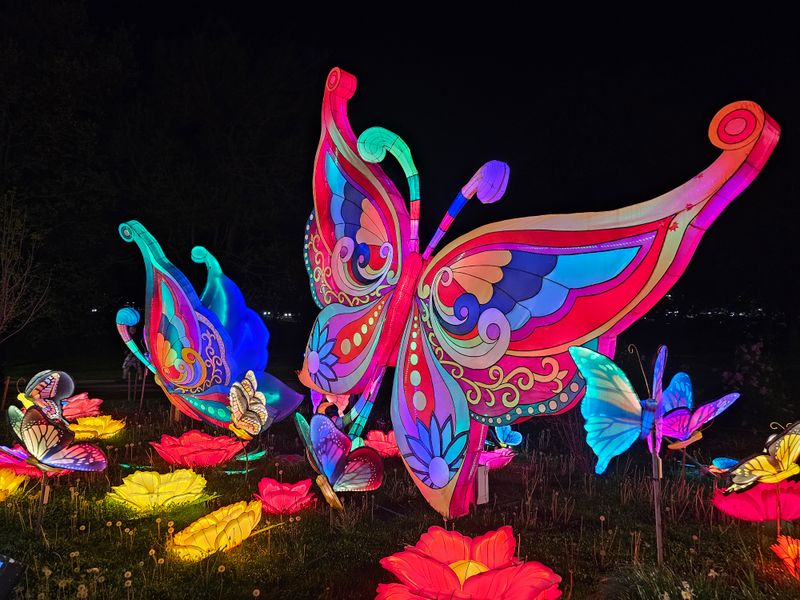 Mind The Weather’s Trick