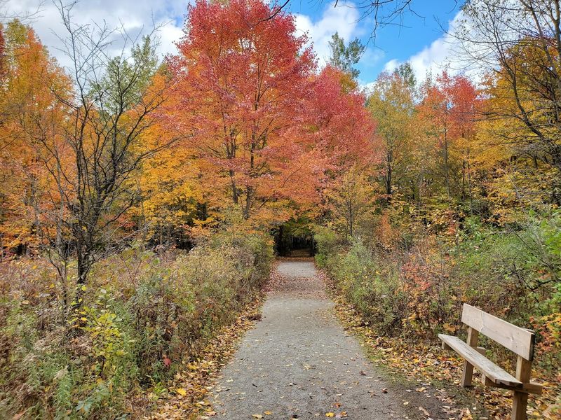 Seasonal Rhythm And Access