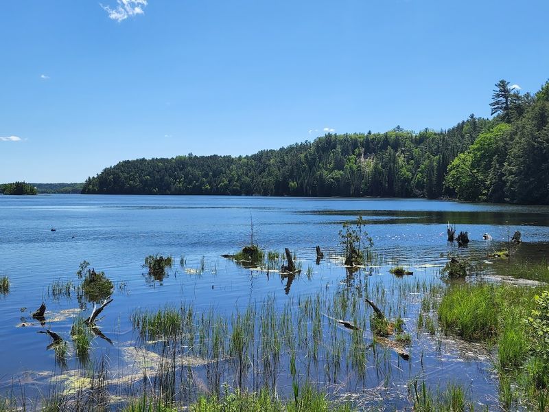 Wildlife And Quiet Etiquette