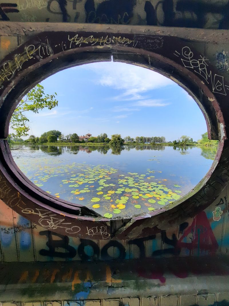 Shadow Play For Your Camera