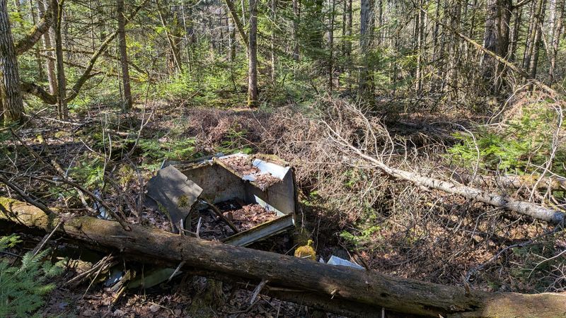 First Hint Of Bell’s Footprint