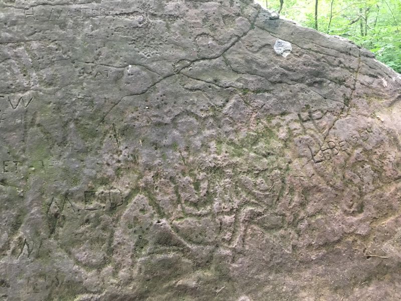 The Petroglyph Panel: Ancient Marks in the Shade