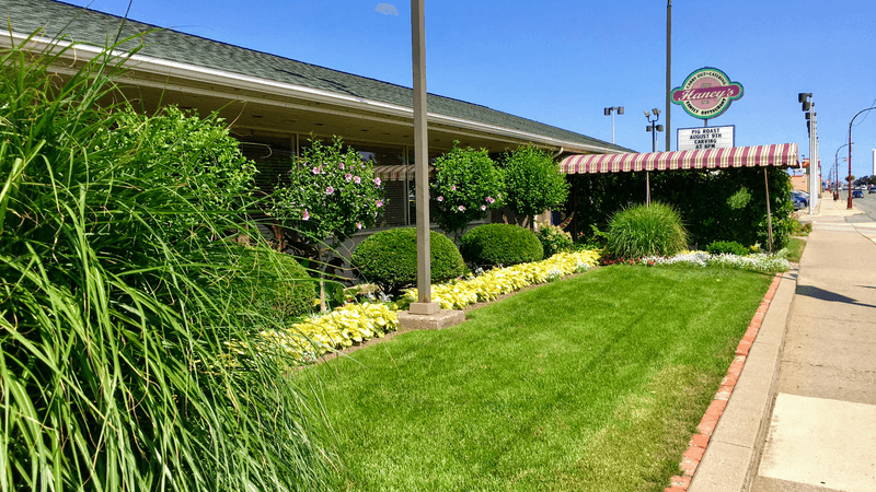 Haney's Family Restaurant – Fresh Green Chiles in Center Line
