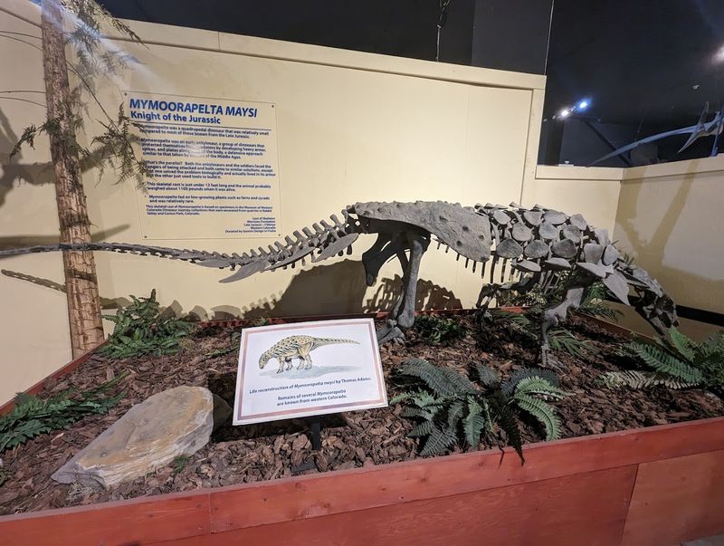 Real Fossils, Robotic Dinosaurs, and an Earthquake You Did Not Plan For