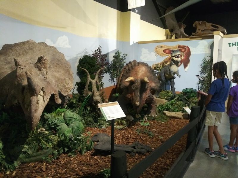 Interactive Exhibits That Keep Kids Locked In