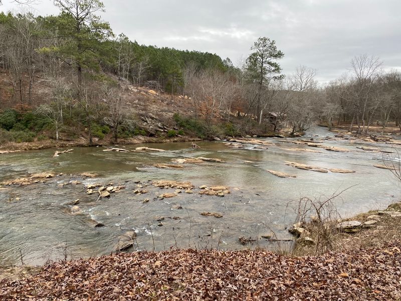 Real Gold Is Hiding In These Creek Beds, And You Get To Look