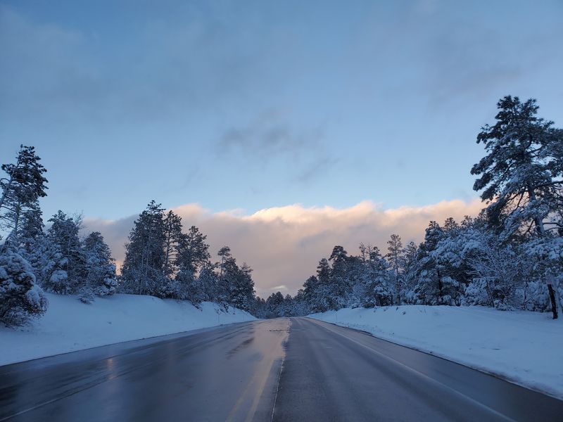 Real Seasons, Including The Occasional Snowy Morning