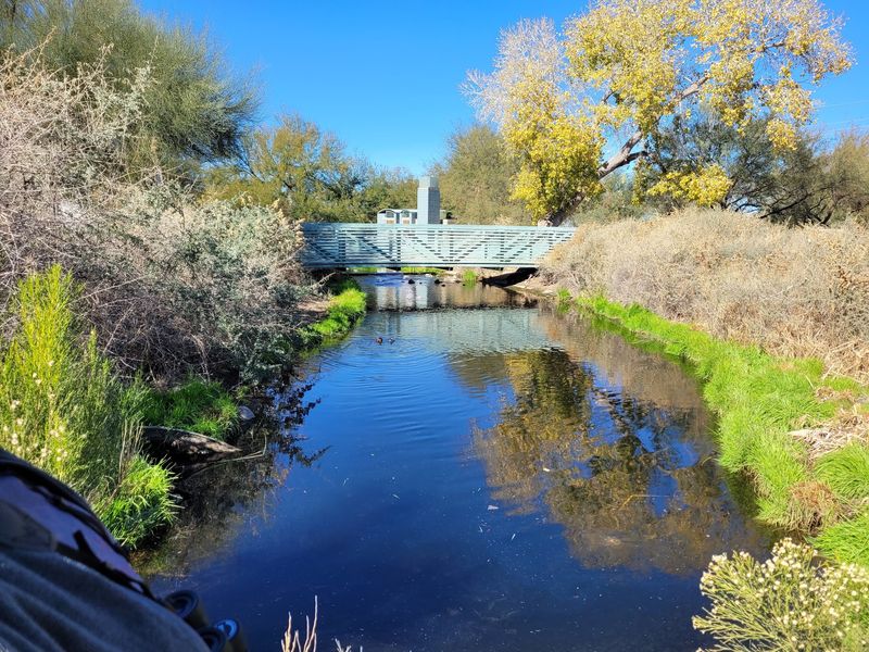 Reclaimed Water, Reimagined