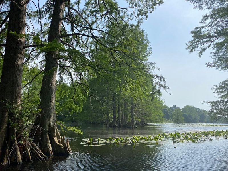 Records Pond Boat Ramp