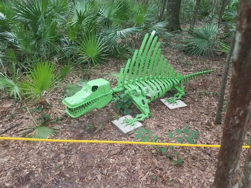 Wildlife Encounters Up Close