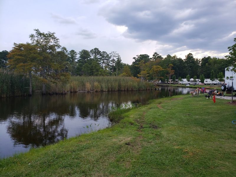 Virginia's Beach Campground