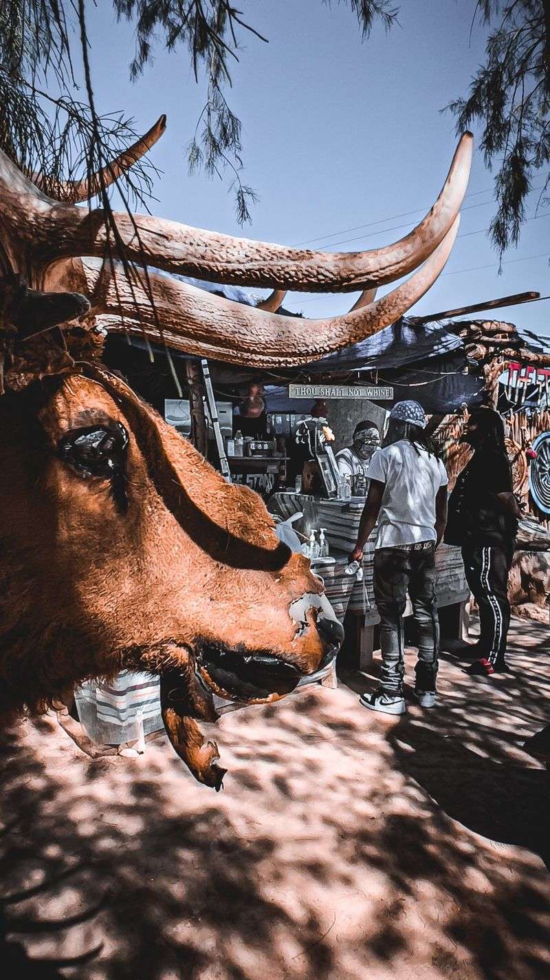 Green Chili For The Brave