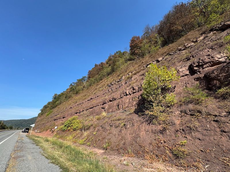 Red Hill Fossil Site, Hyner, Pennsylvania
