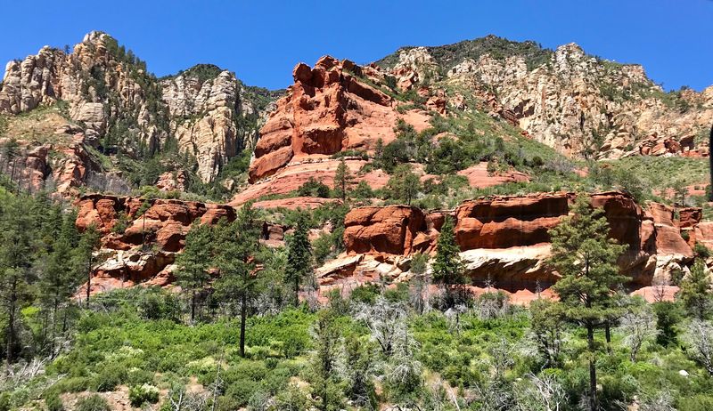 Red Rock Cliffs Meeting a Green Canyon Floor