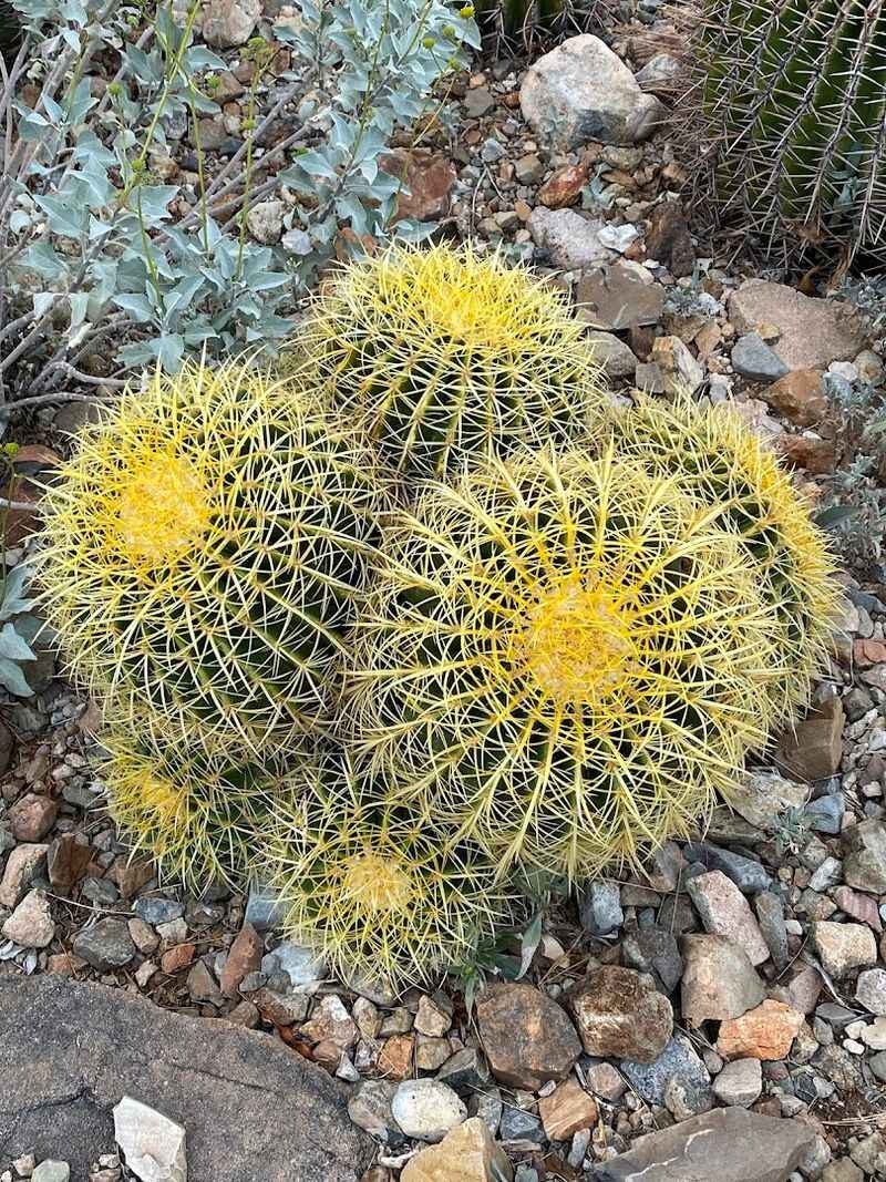 Planning Your Visit: Tips For Getting The Most Out Of The Museum