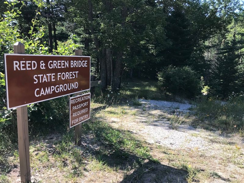 Reed & Green Bridge State Forest Campground