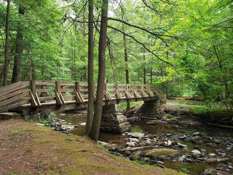 Reeds Gap State Park Campground, Milroy, PA