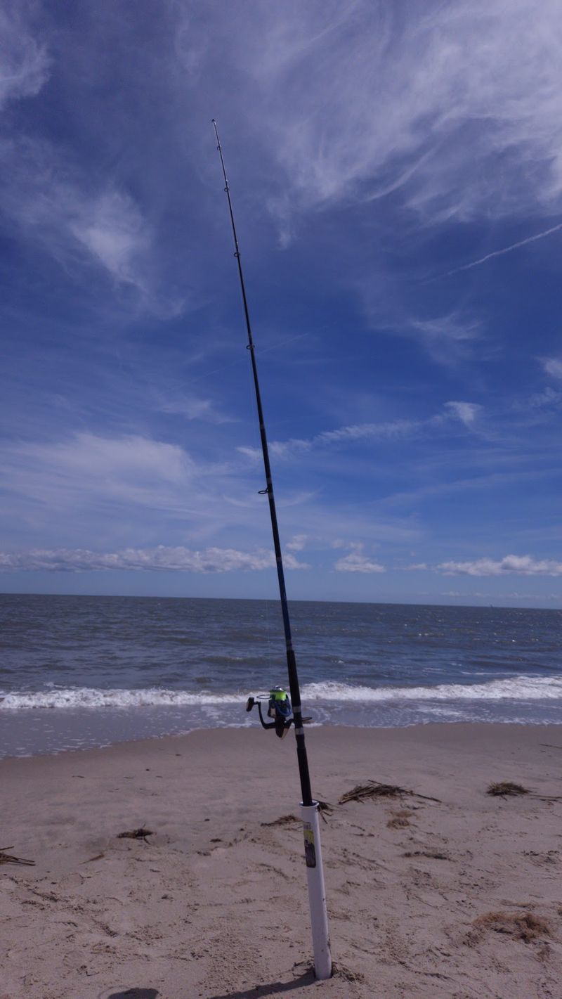 Reel Talk For Patient Anglers