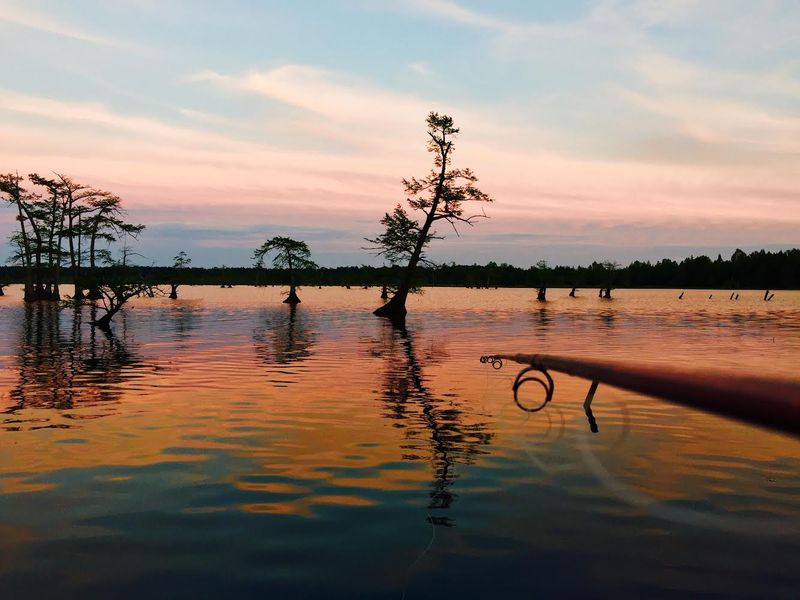 Reelfoot Lake Right Across The Road