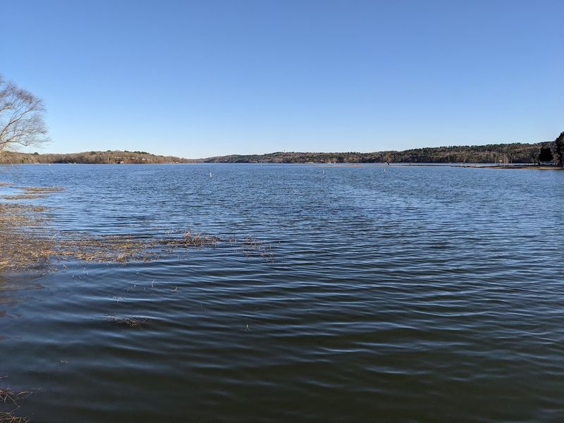 Easy Walking Access Along Scenic Shoreline Trails
